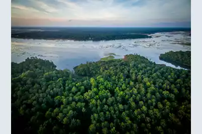 3893 Summerton Street, Mount Pleasant, SC 29466 - Photo 47