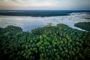 3893 Summerton St, Mount Pleasant, SC 29466 - Photo 47