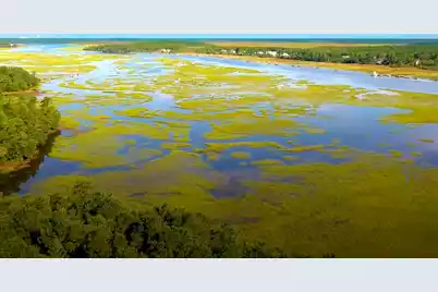 3893 Summerton Street, Mount Pleasant, SC 29466 - Photo 49