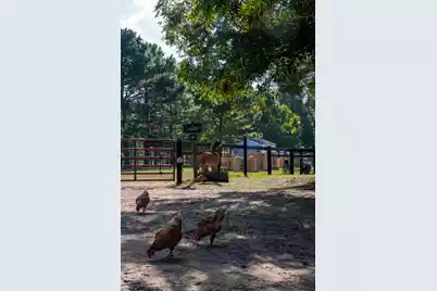 7021 Sounding Lane, Johns Island, SC 29455 - Photo 45