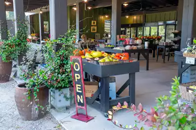 7021 Sounding Lane, Johns Island, SC 29455 - Photo 51