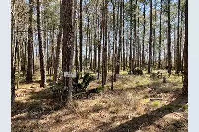 0 Backfield Road, Walterboro, SC 29488 - Photo 3