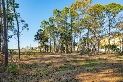 290 Shadow Race Lane, Folly Beach, SC 29439 - Photo 5