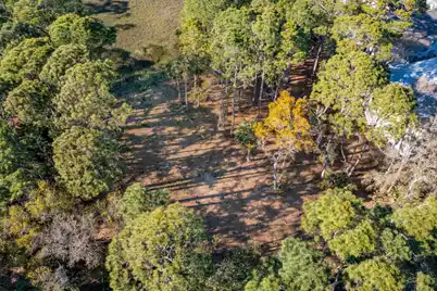 290 Shadow Race Lane, Folly Beach, SC 29439 - Photo 25
