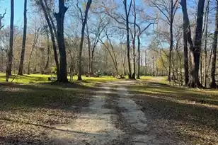 41 Mendel Ct, Round O, SC 29474 - Photo 1