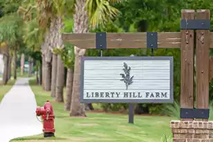 1683 Cultivation Ln, Mount Pleasant, SC 29466 - Photo 21