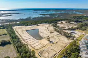 1683 Cultivation Ln, Mount Pleasant, SC 29466 - Photo 53