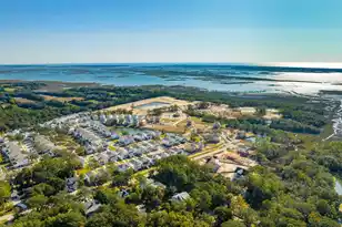 1683 Cultivation Ln, Mount Pleasant, SC 29466 - Photo 57