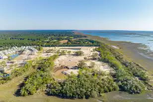 1683 Cultivation Ln, Mount Pleasant, SC 29466 - Photo 45