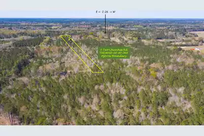 0 Two Churches Road, Harleyville, SC 29448 - Photo 3