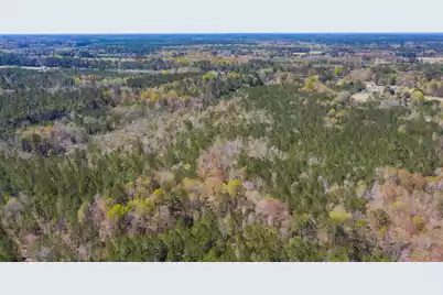 0 Two Churches Road, Harleyville, SC 29448 - Photo 15