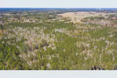 0 Two Churches Road, Harleyville, SC 29448 - Photo 13