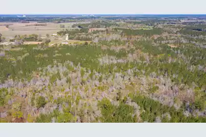 0 Two Churches Road, Harleyville, SC 29448 - Photo 11