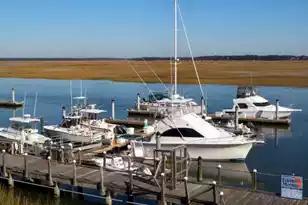 116 Bay Creek Villa, Edisto Beach, SC 29438 - Photo 3