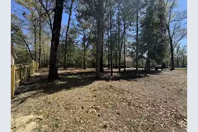 0 Dowling Avenue, Walterboro, SC 29488 - Photo 5