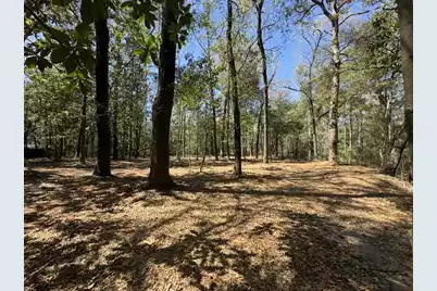 0 Klein Street, Walterboro, SC 29488 - Photo 9