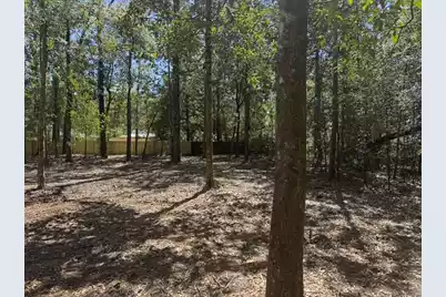 0 Klein Street, Walterboro, SC 29488 - Photo 11