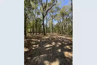 0 Klein Street, Walterboro, SC 29488 - Photo 1