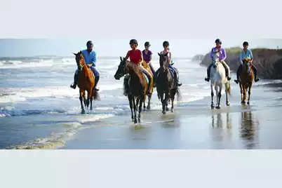 157 High Hammock Villas, Seabrook Island, SC 29455 - Photo 75