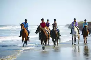 157 High Hammock Villas, Seabrook Island, SC 29455 - Photo 75