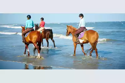 157 High Hammock Villas, Seabrook Island, SC 29455 - Photo 67