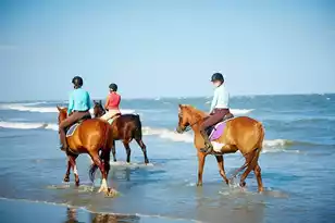 157 High Hammock Villas, Seabrook Island, SC 29455 - Photo 67