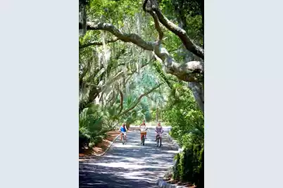 157 High Hammock Villas, Seabrook Island, SC 29455 - Photo 69