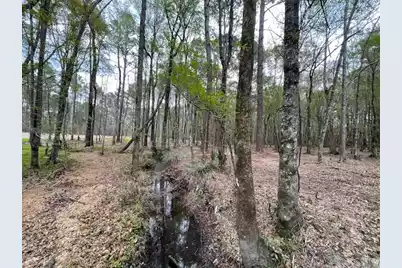 113 Gen Estates Lane, Summerville, SC 29486 - Photo 7
