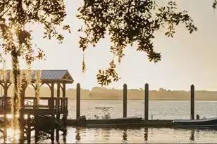 343 Simone Dr Lot 53, Daniel Island, SC 29492 - Photo 31