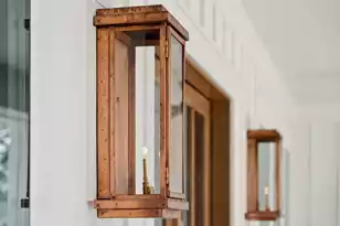 343 Simone Dr Lot 53, Daniel Island, SC 29492 - Photo 3