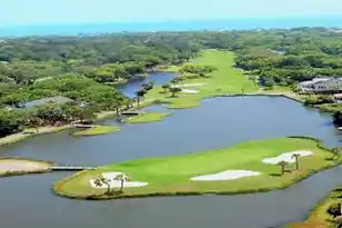 1 Battery Park Rd, Edisto Island, SC 29438 - Photo 57