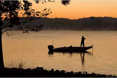147 Twisted Oak Trail, Elloree, SC 29047 - Photo 23