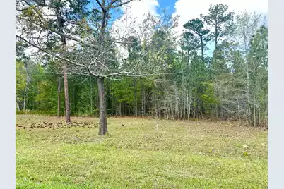 147 Twisted Oak Trail, Elloree, SC 29047 - Photo 3