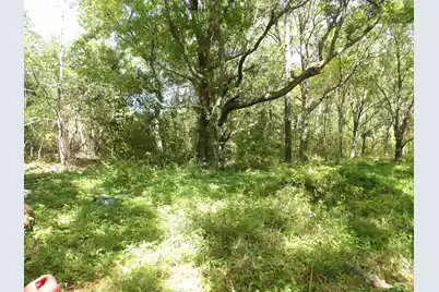 1558 Scott Hill Road, Charleston, SC 29412 - Photo 5