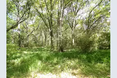 1558 Scott Hill Road, Charleston, SC 29412 - Photo 1