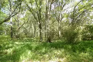 1558 Scott Hill Rd, Charleston, SC 29412 - Photo 1