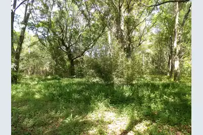 1558 Scott Hill Road, Charleston, SC 29412 - Photo 3