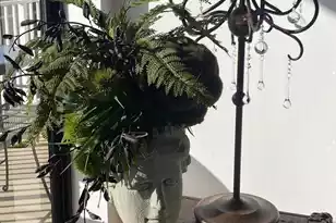 330 Concord St, Charleston, SC 29401 - Photo 5