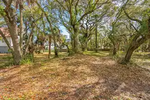 1214 Tabby Dr, Folly Beach, SC 29439 - Photo 63