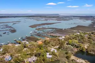 1214 Tabby Dr, Folly Beach, SC 29439 - Photo 73