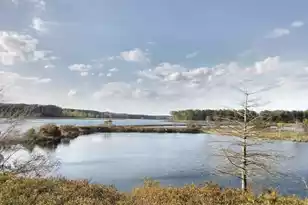 701 Maynard Ln, Summerville, SC 29486 - Photo 51