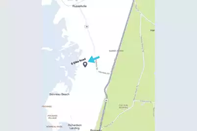 0 Dike Road, Bonneau, SC 29431 - Photo 3