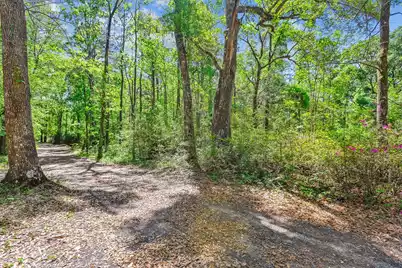 7095 Parkers Ferry Road, Adams Run, SC 29426 - Photo 19
