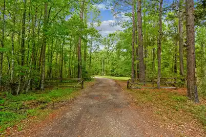 7095 Parkers Ferry Road, Adams Run, SC 29426 - Photo 17