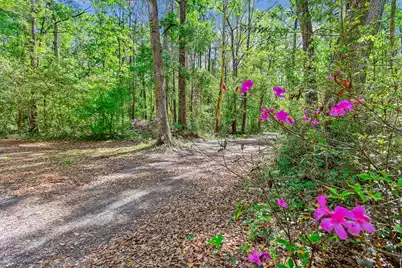 7095 Parkers Ferry Road, Adams Run, SC 29426 - Photo 25