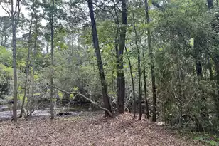 1533 Theresa Dr, Charleston, SC 29412 - Photo 3