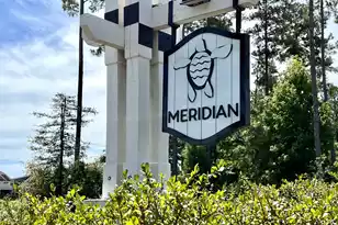 703 Hilchot Dr, Summerville, SC 29486 - Photo 49