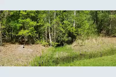 0 Rabb Street, Walterboro, SC 29488 - Photo 3