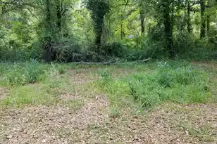 0 Rabb St, Walterboro, SC 29488 - Photo 1