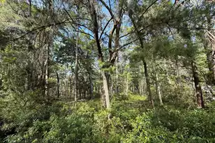 0 Crawford Dr, Edisto Island, SC 29438 - Photo 1